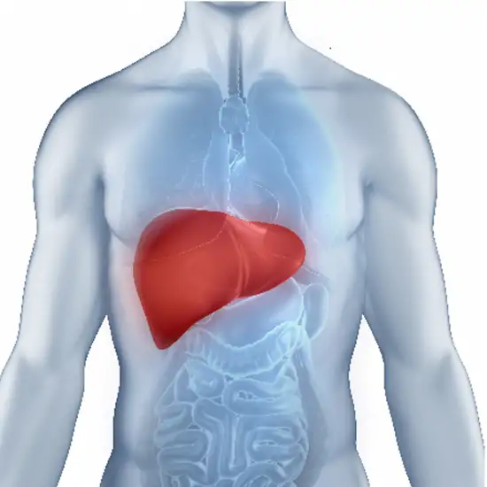 Liver Fibrosis Panel